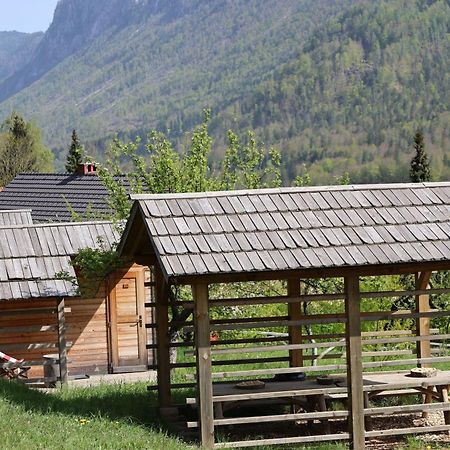 Vila Mountain View Glamping Dovje Exteriér fotografie