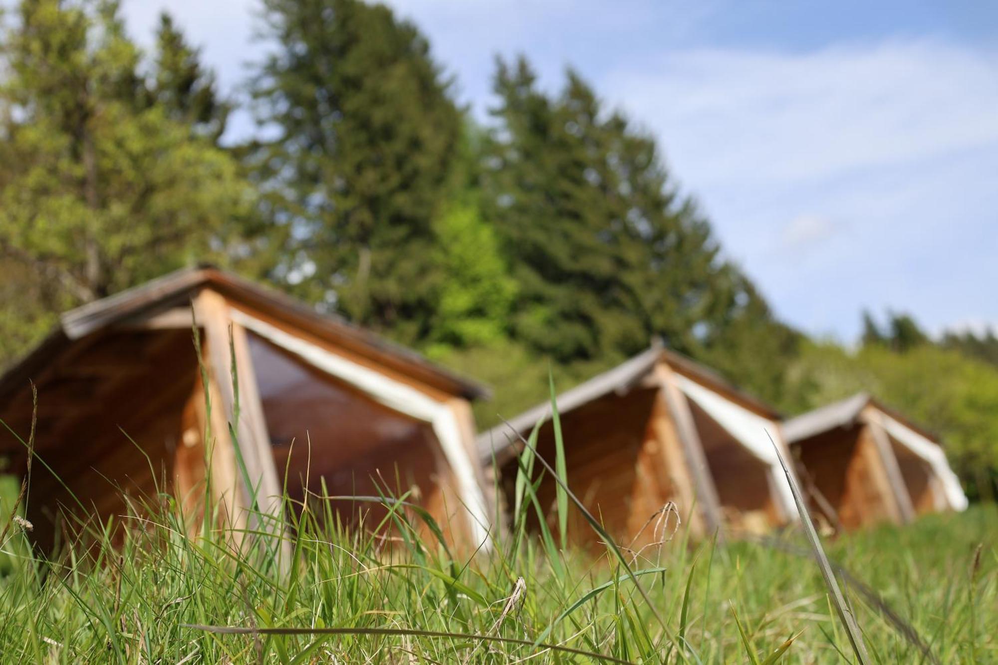 Vila Mountain View Glamping Dovje Exteriér fotografie
