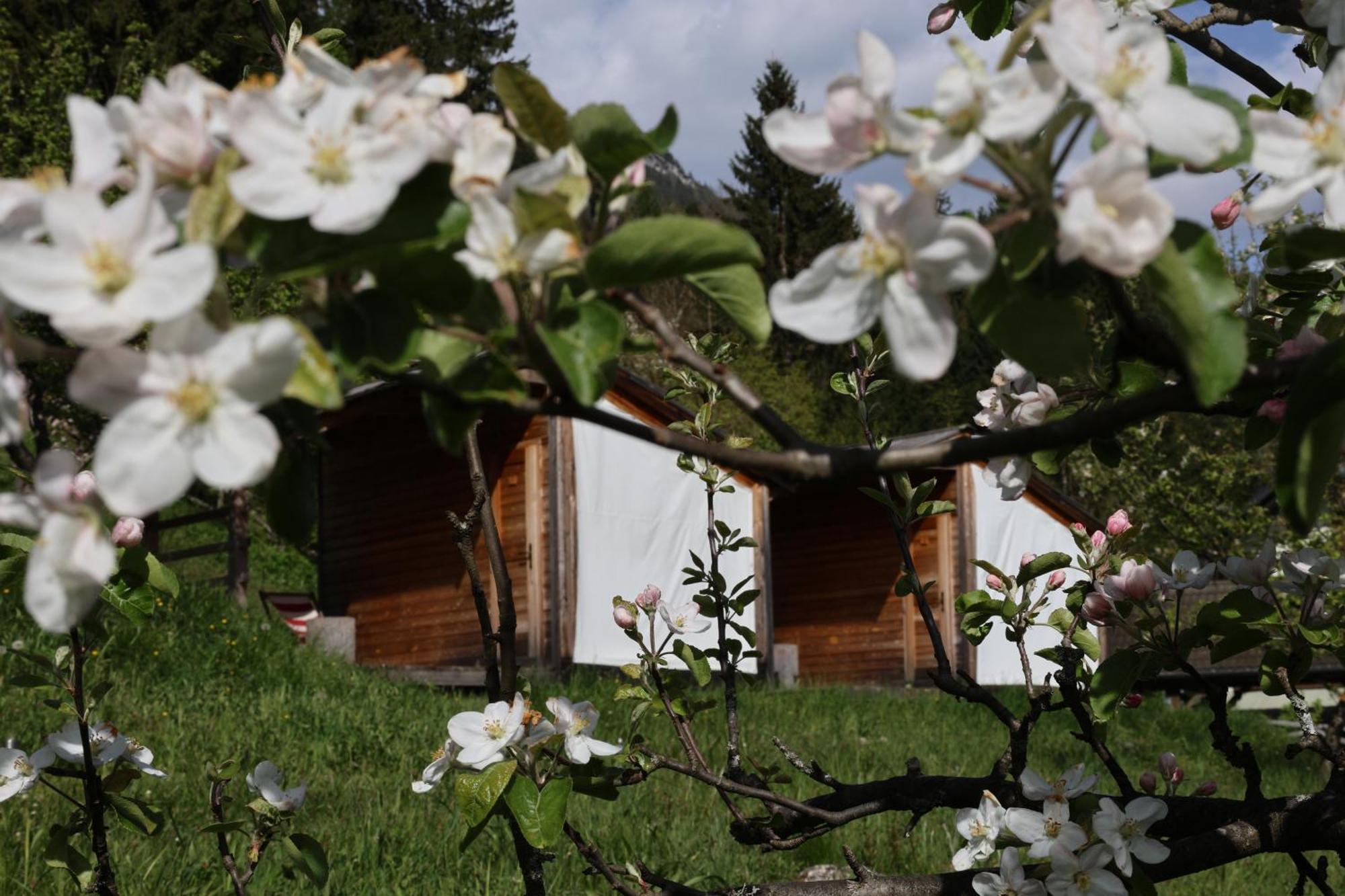 Vila Mountain View Glamping Dovje Exteriér fotografie