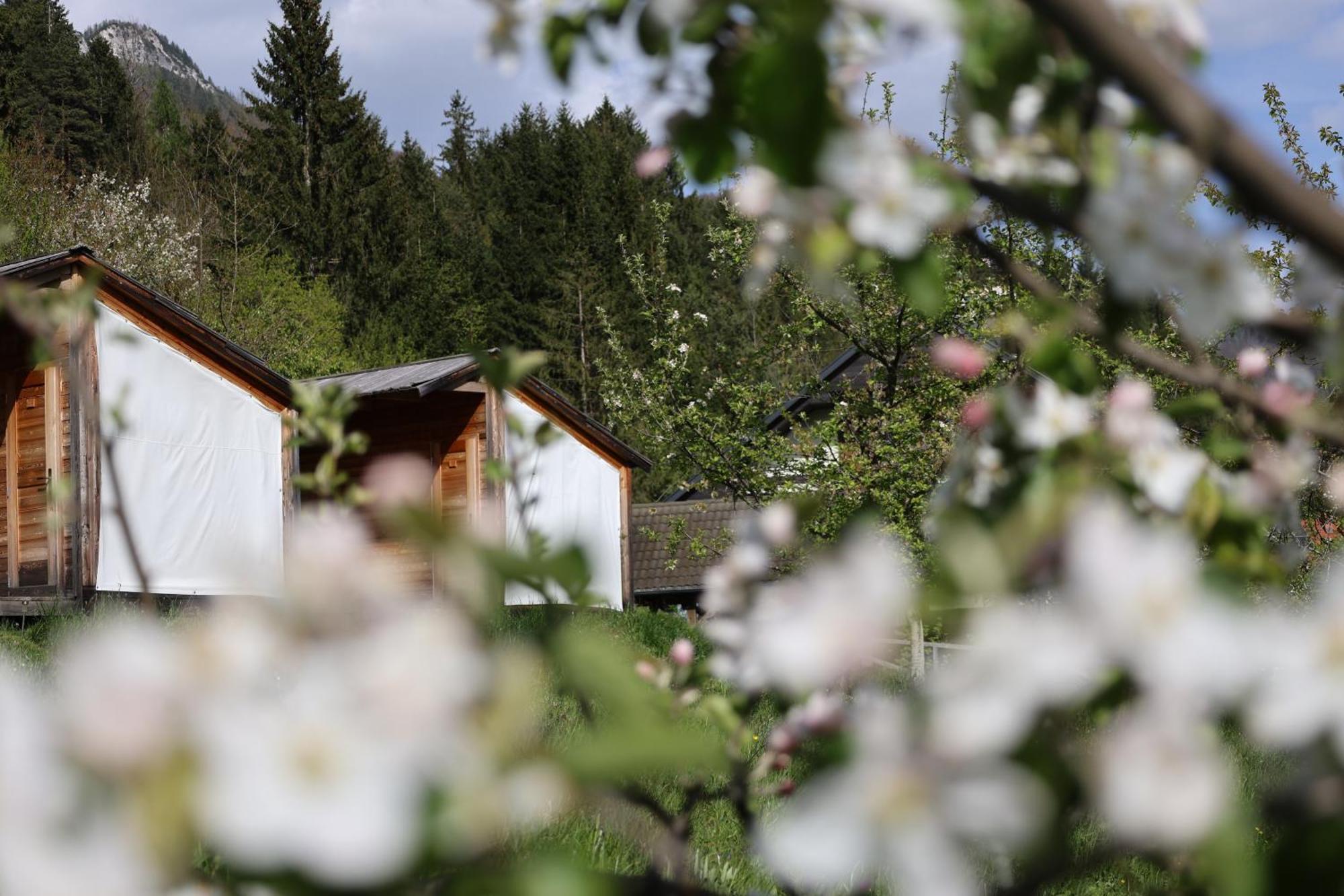 Vila Mountain View Glamping Dovje Exteriér fotografie