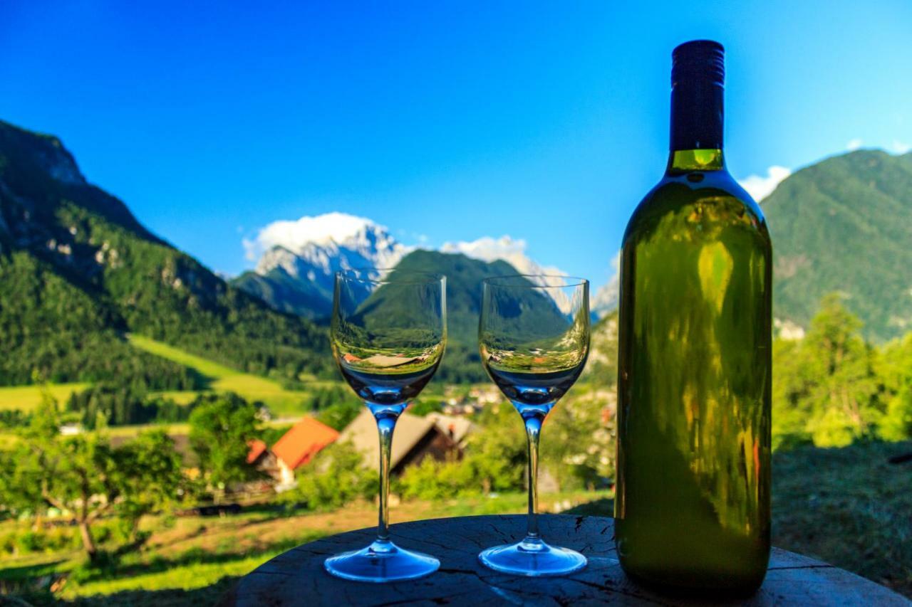 Vila Mountain View Glamping Dovje Exteriér fotografie
