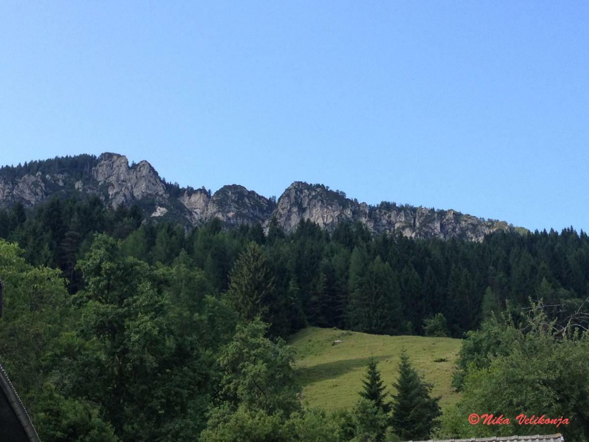 Vila Mountain View Glamping Dovje Exteriér fotografie