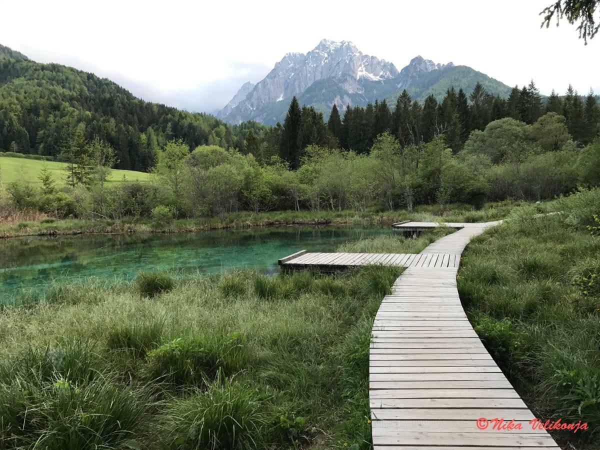 Vila Mountain View Glamping Dovje Exteriér fotografie