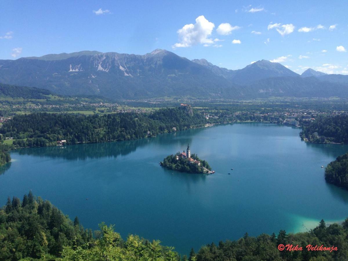Vila Mountain View Glamping Dovje Exteriér fotografie